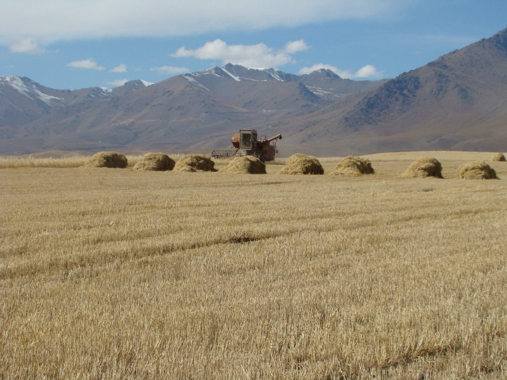 Landwirtschaft Kirgistan Traktor Dschalalabat