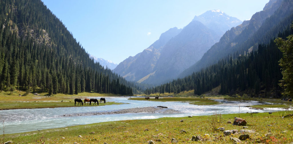 Tal Natur Karakol Kirgistan Landschaft