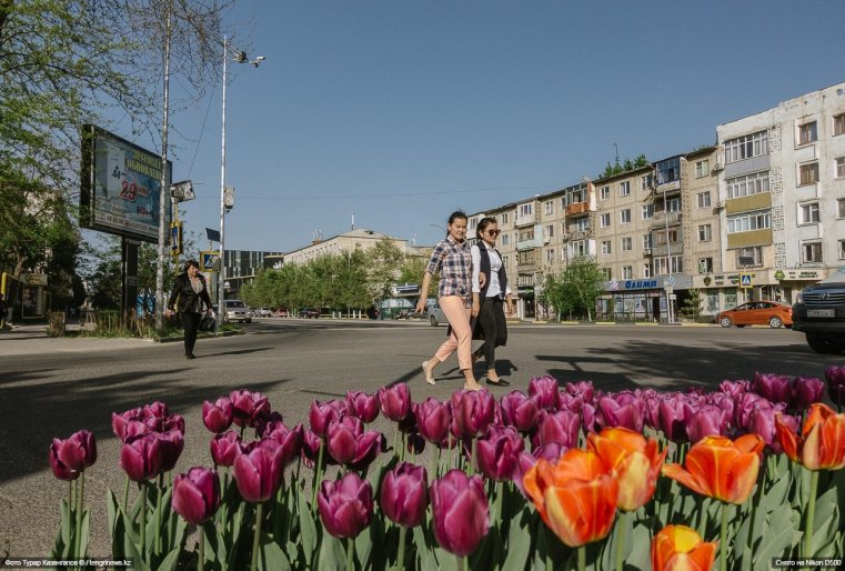 Blumen Schymkent Tulpen