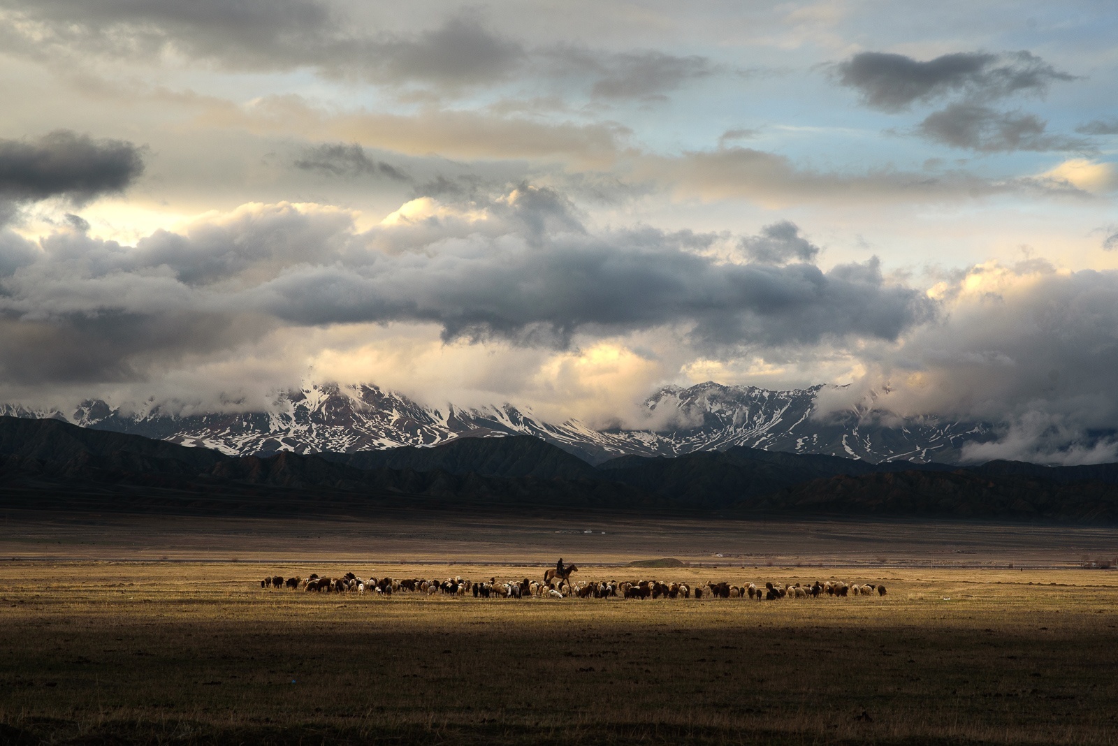 Steppe und Berge in Kirgistan im Abendlicht