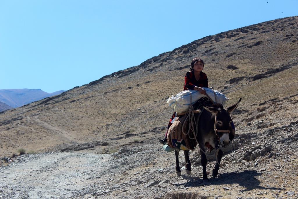 Esel Transport Usbekistan Dorf