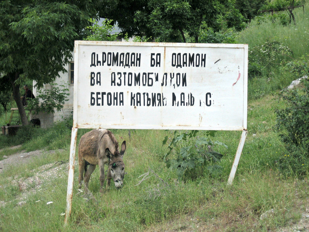 Tadschikistan, Tadschikisch, Esel