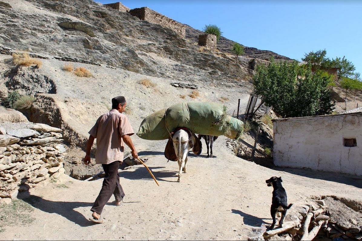 Usbekistan, Dorf, Bild des Tages