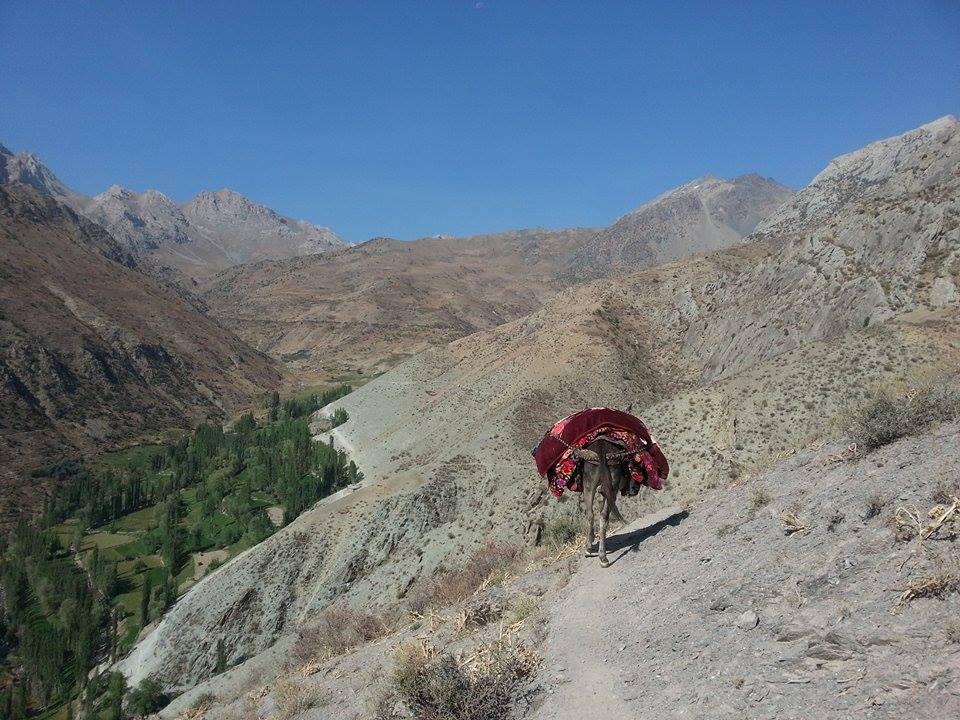 Voru Esel Tadschikistan Bergen