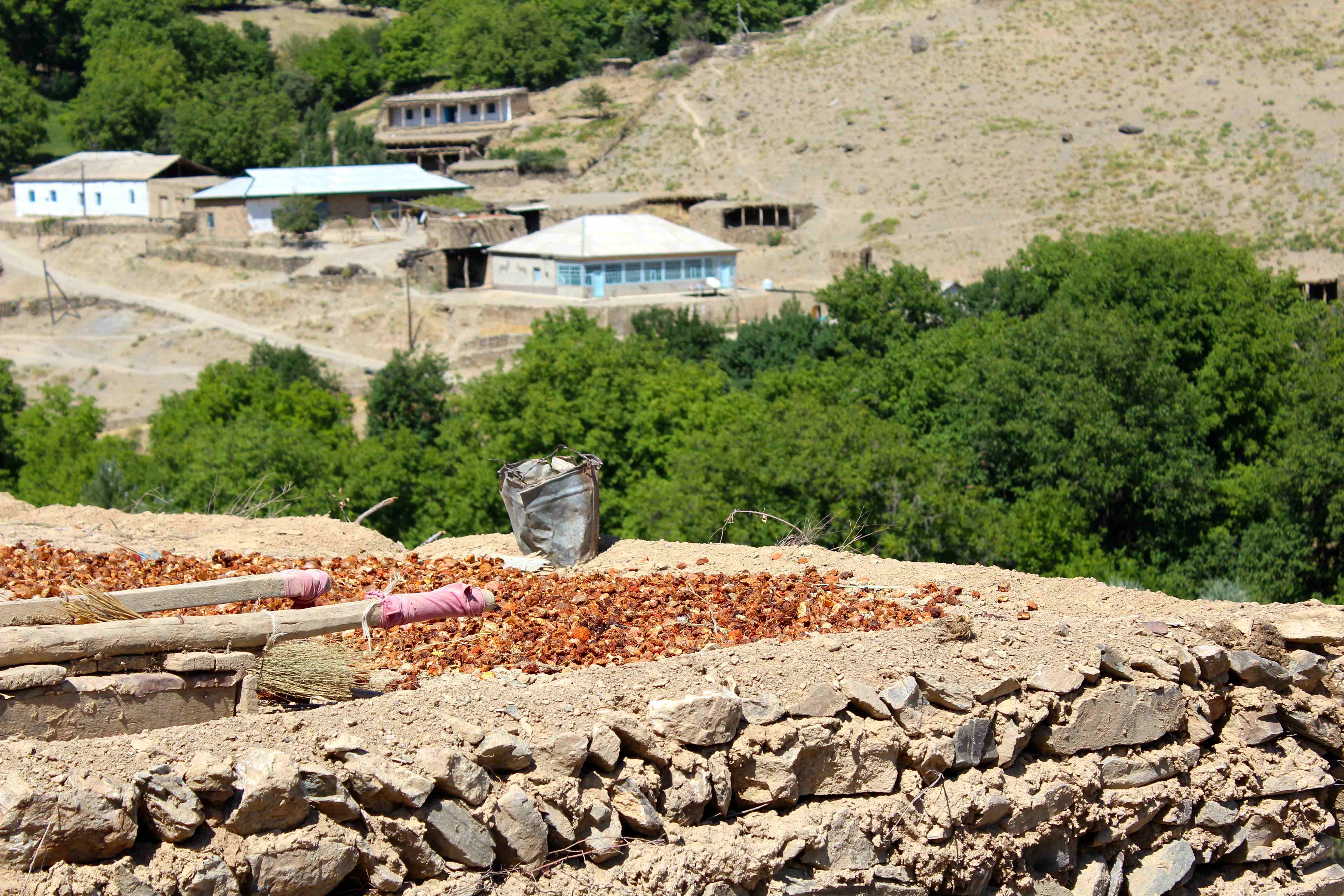 Usbekistan Dörfer Trockefrüchte