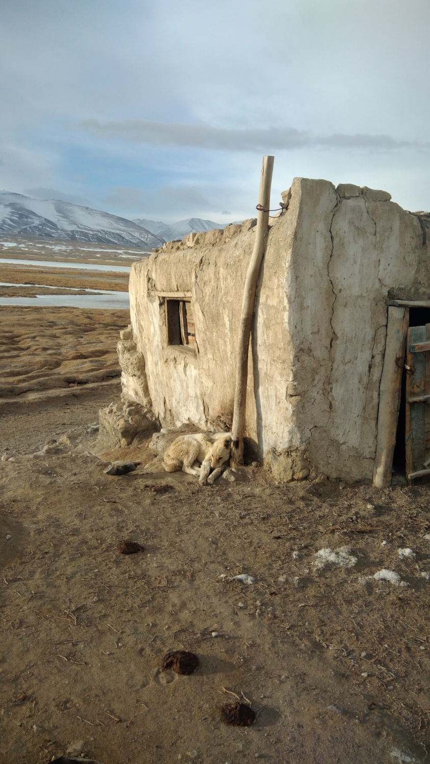 Pamir Hund Hütte Tadschikistan