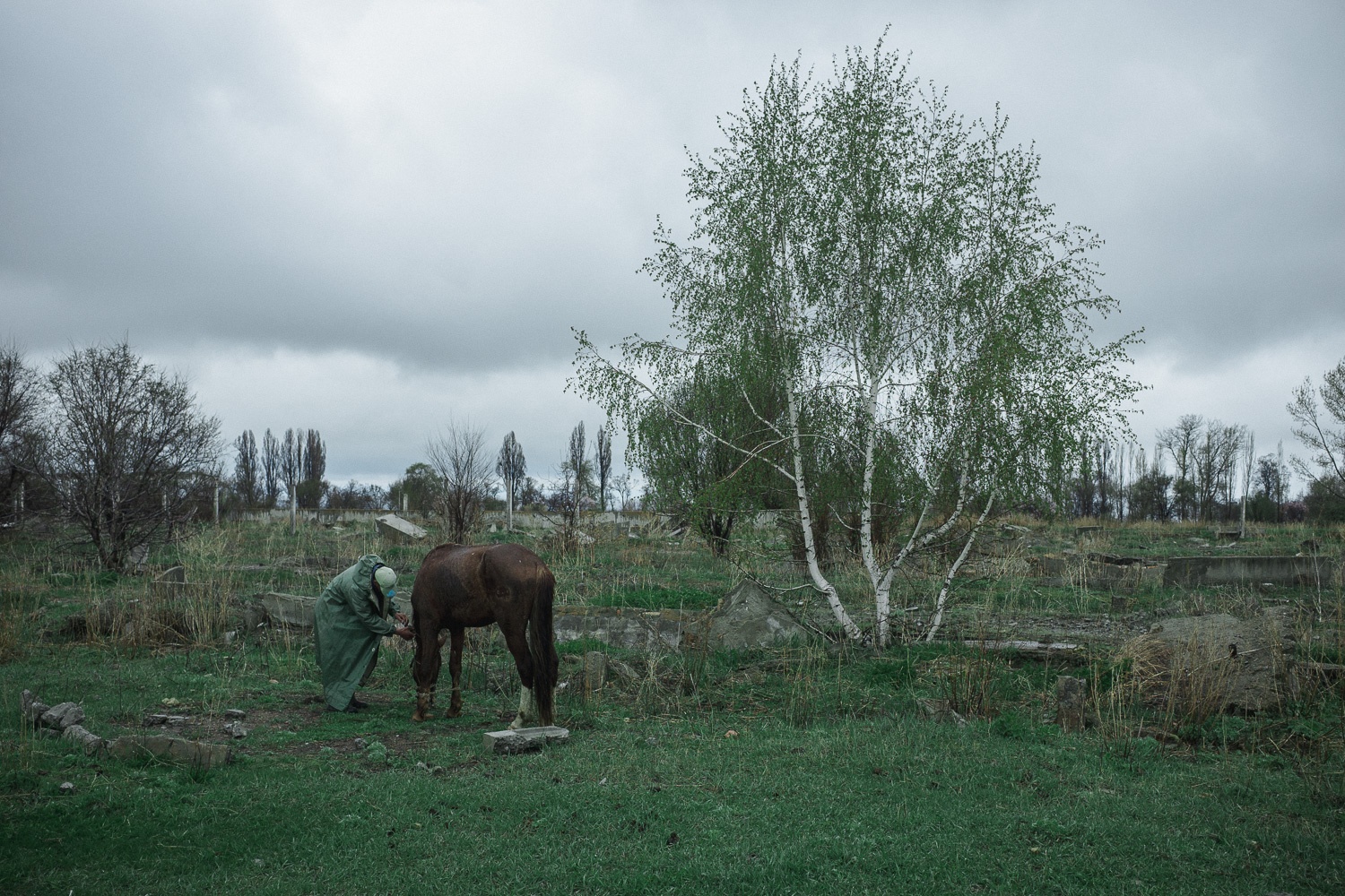 Pferd Bauer Kirgisistan Grigorievka