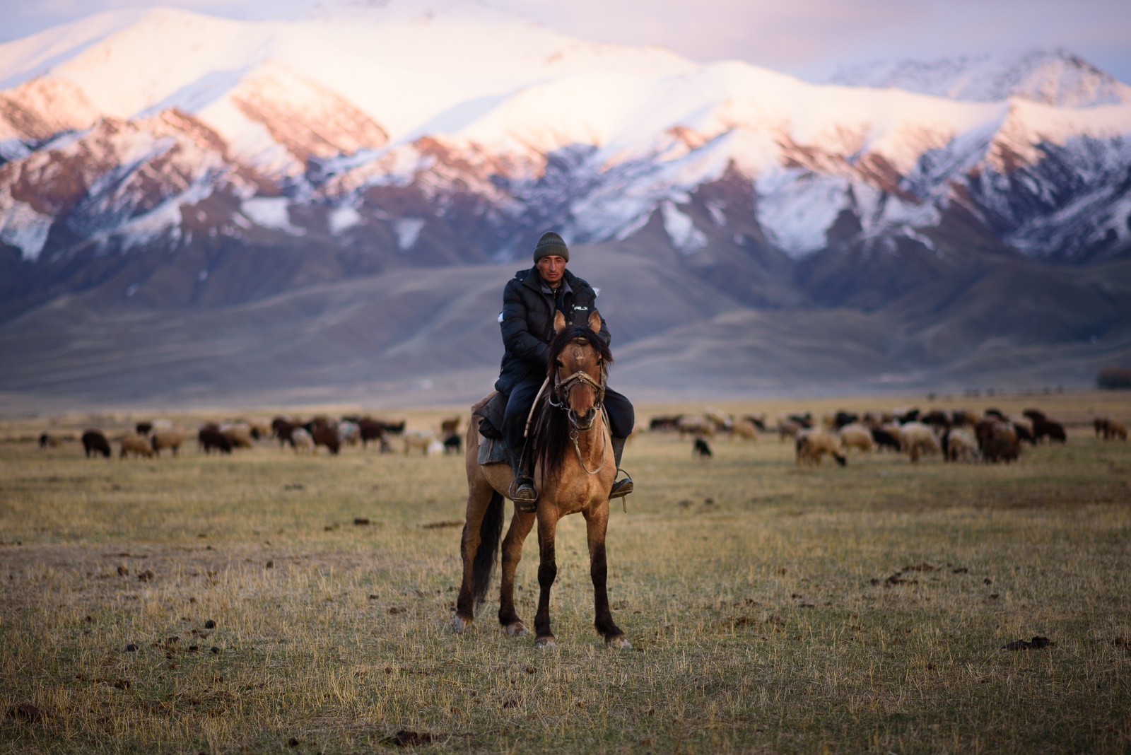 Hirte im Tien-Shan auf Pferd