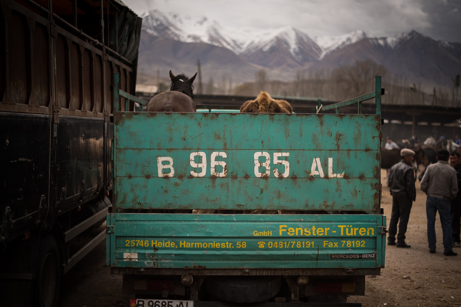 Basar Kotschkor Kirgistan Viehmarkt