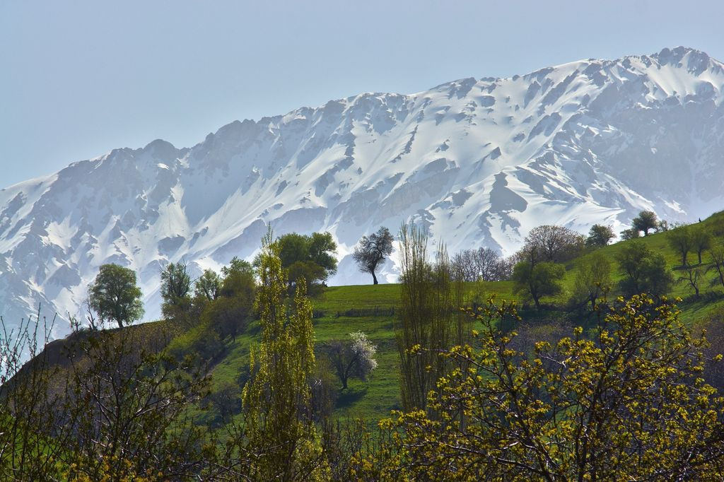 Frühling Usbekistan Gebirge