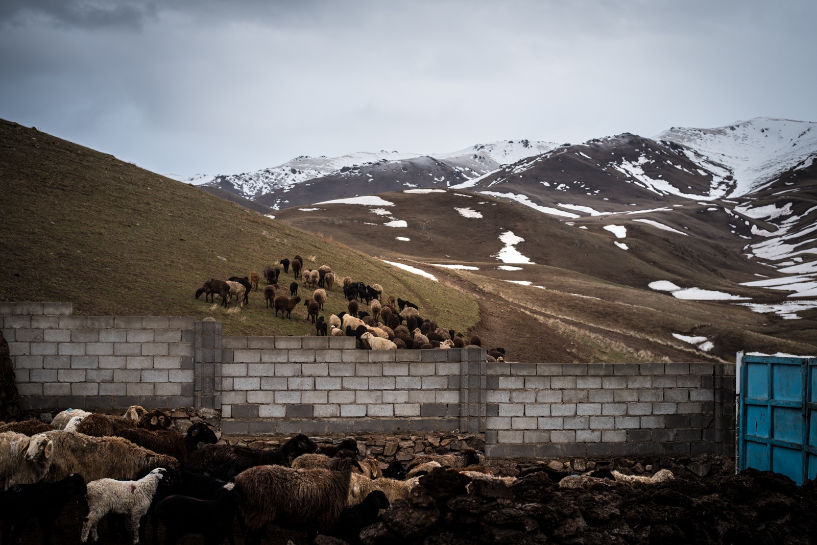 Kirgistan Viehzucht Gebirge