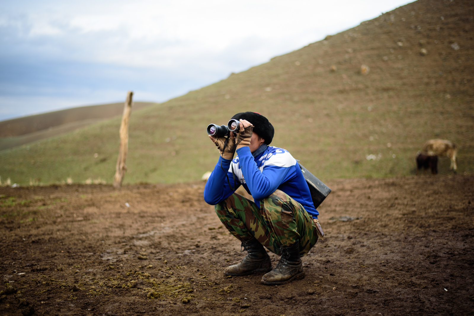 Viehzucht Gebirge Kirgistan Bild des Tages Antoine Béguier