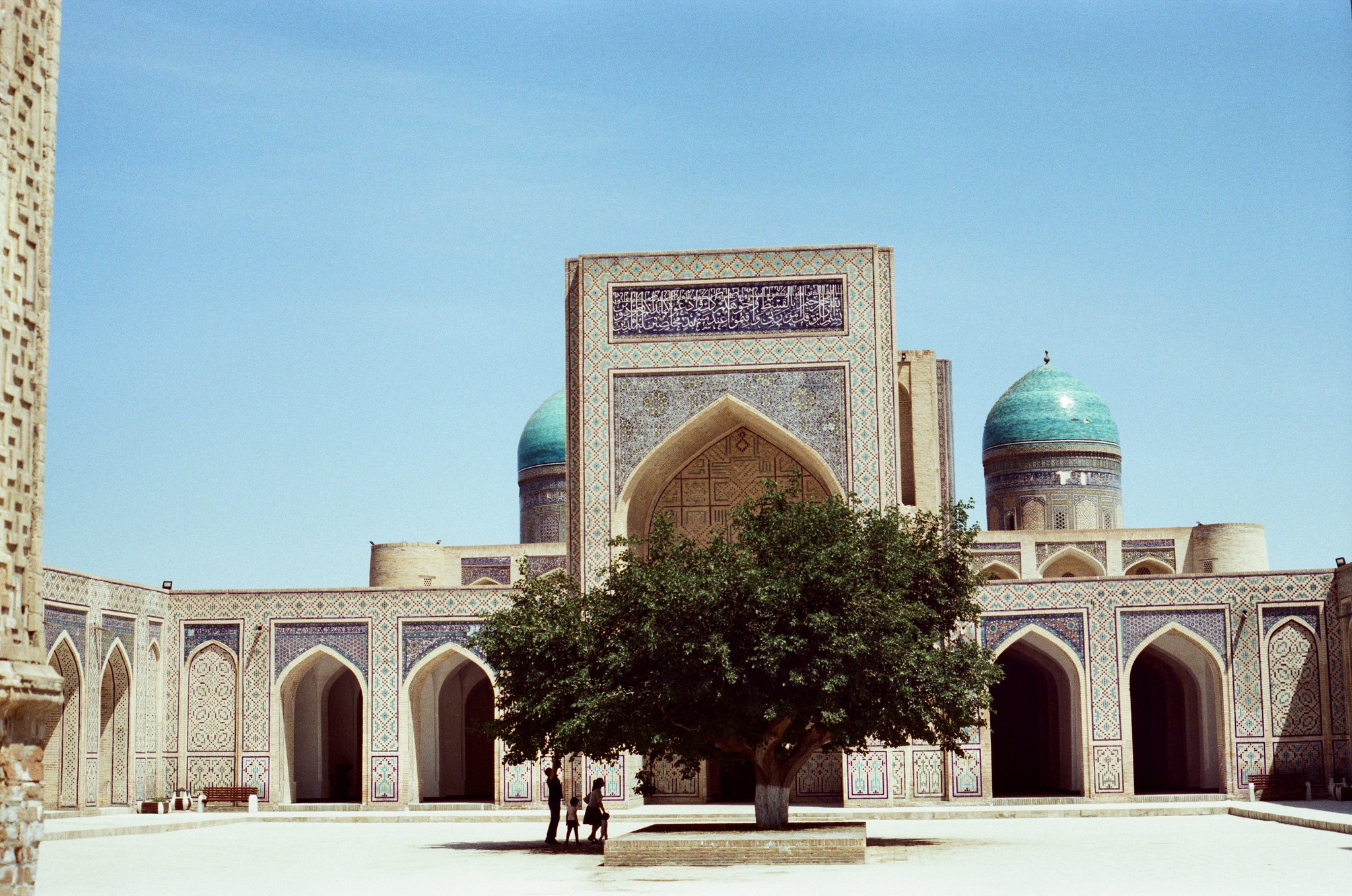 Maulbeerbaum Buchara Usbekistan Moschee Architektur