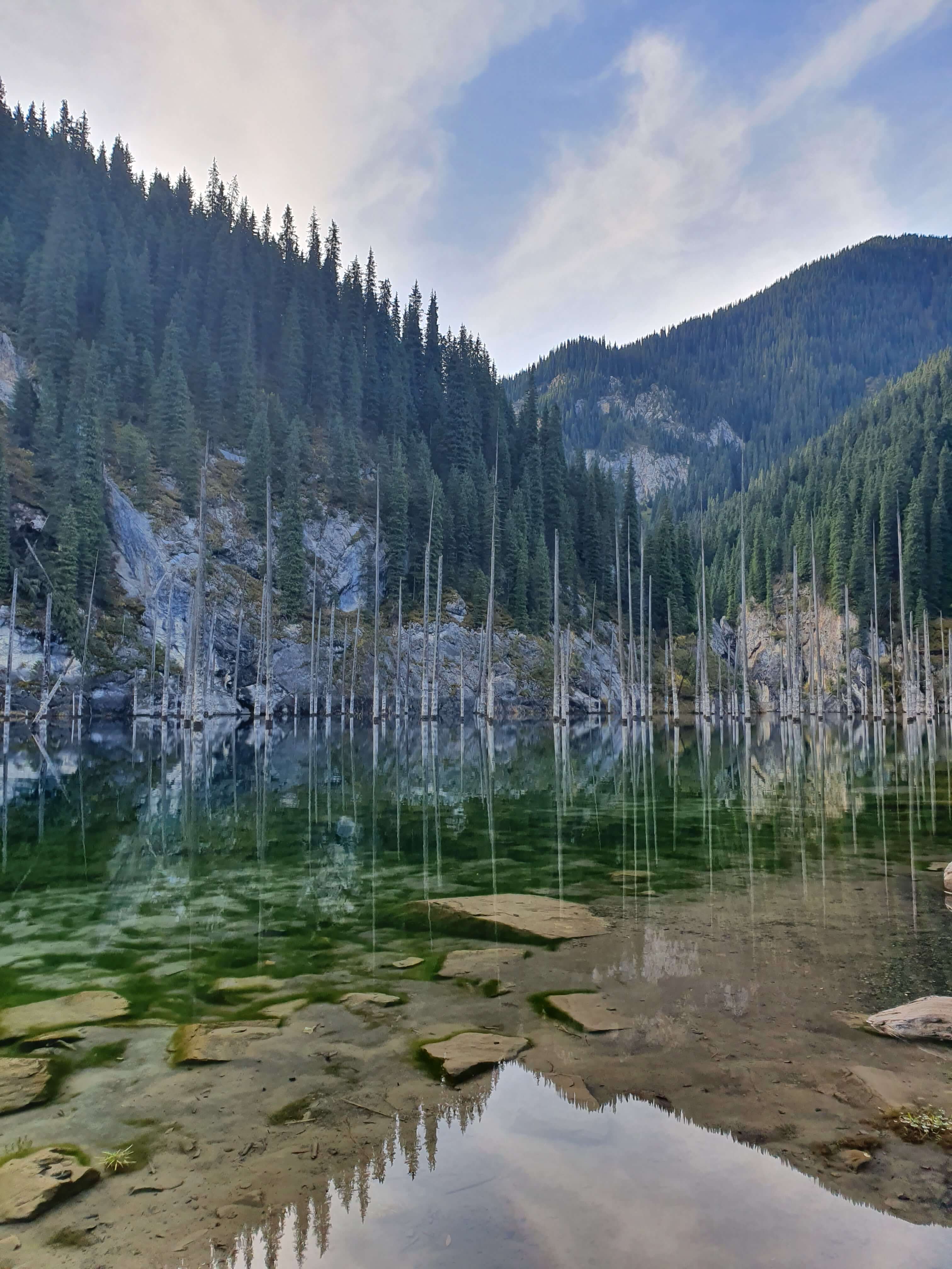 Wald Marine Kaindysee Kasachstan Bild des Tages