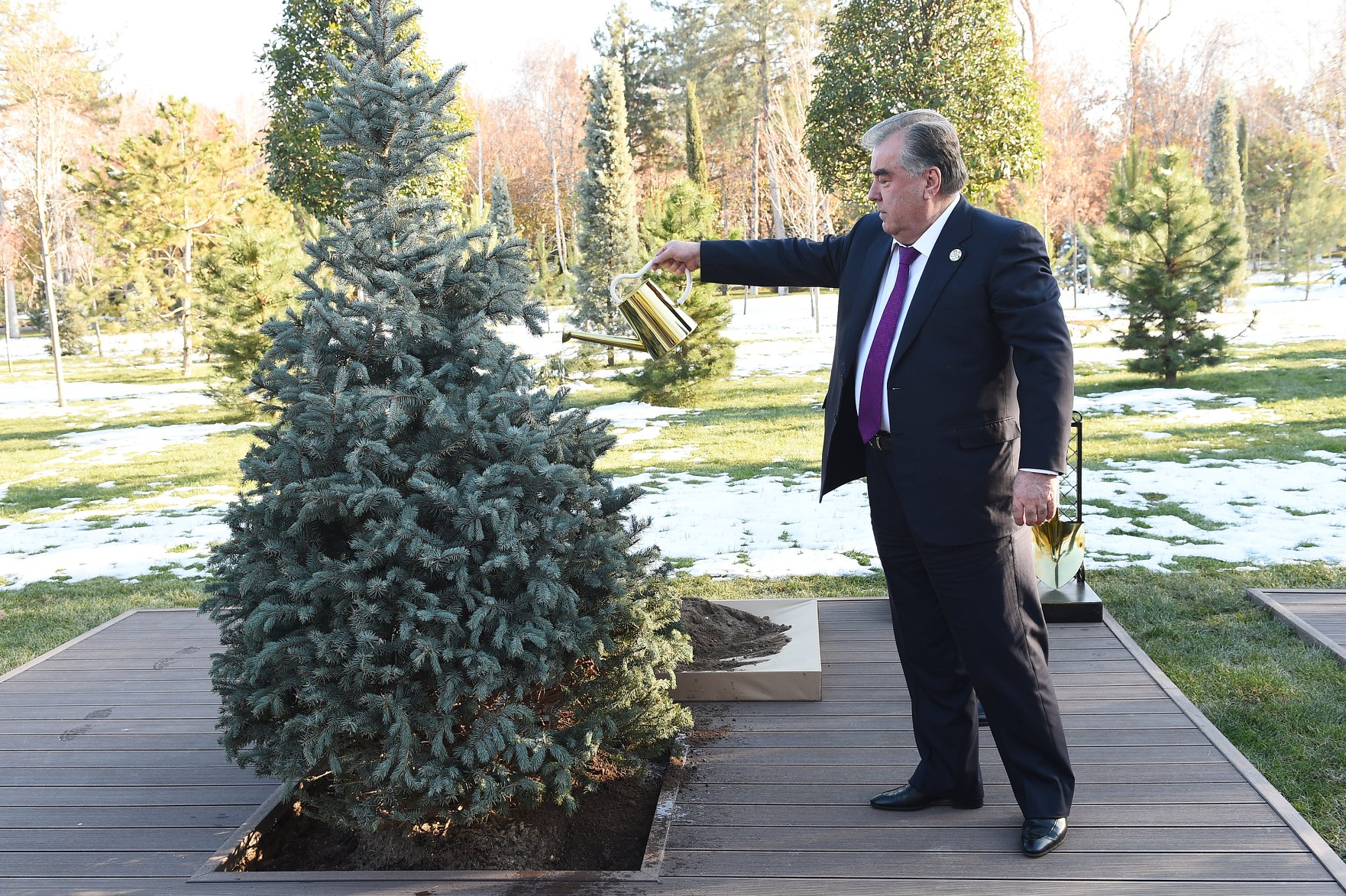 Tadschikistans Präsident Rahmon beim Pflanzen eines der Bäume