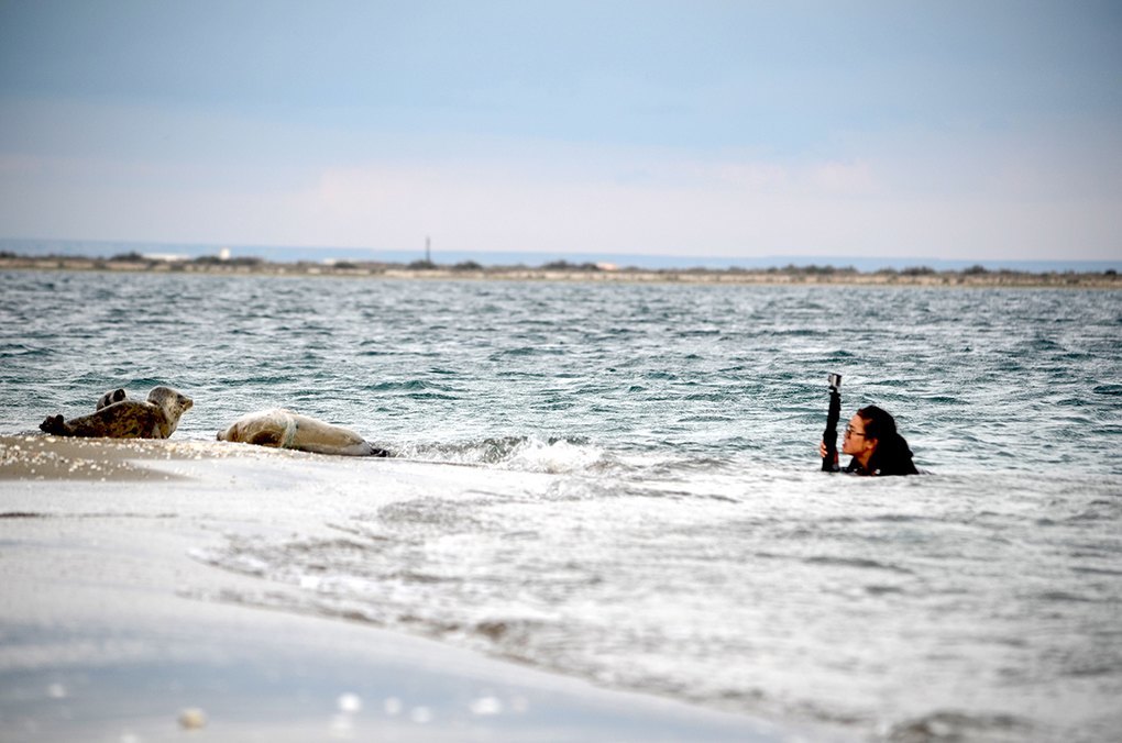 Ásel Baımuqanova liegt im Wasser und filmt Robben