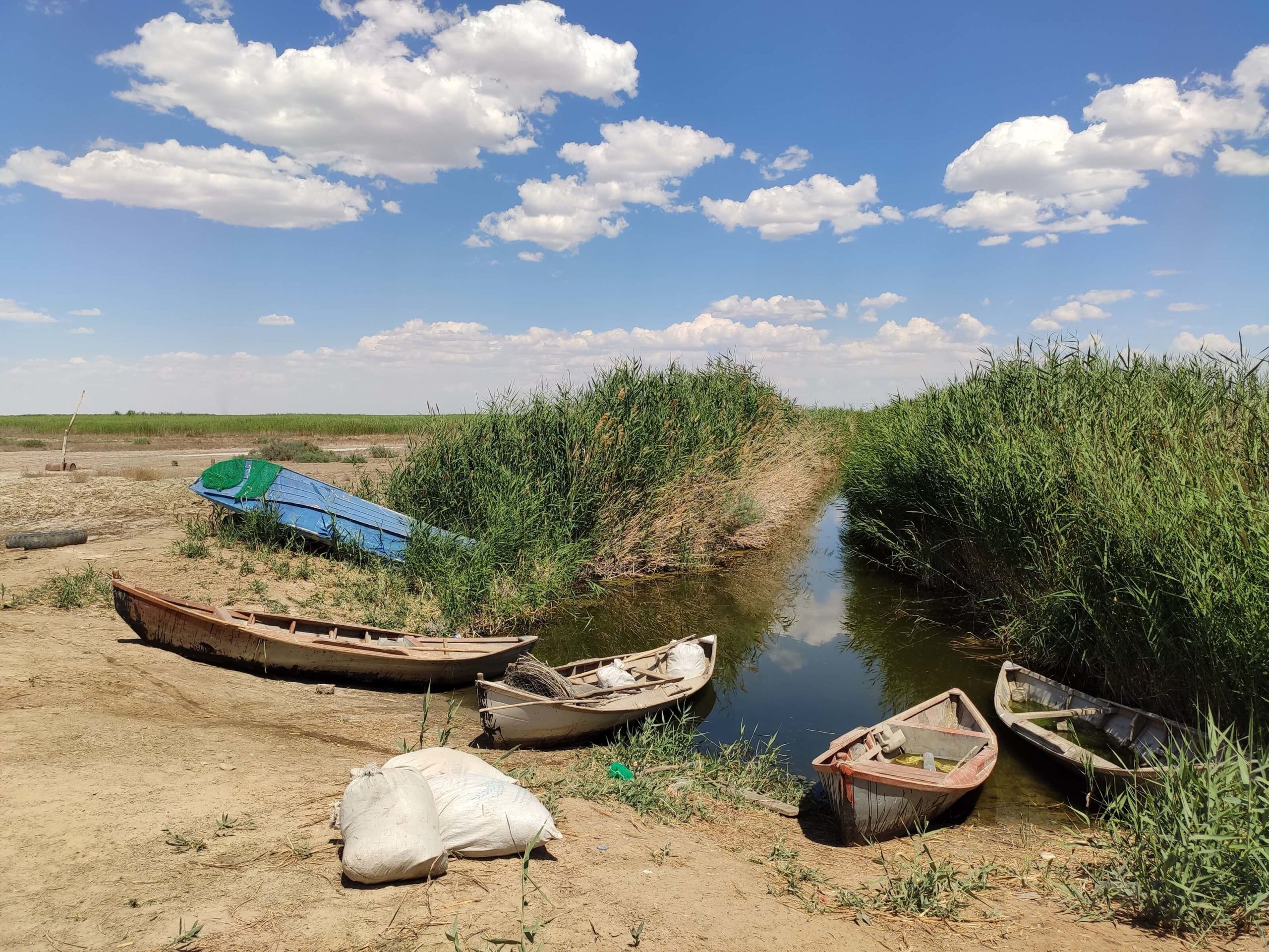 Sudoche-See Usbekistan Karakalpakstan Fischer