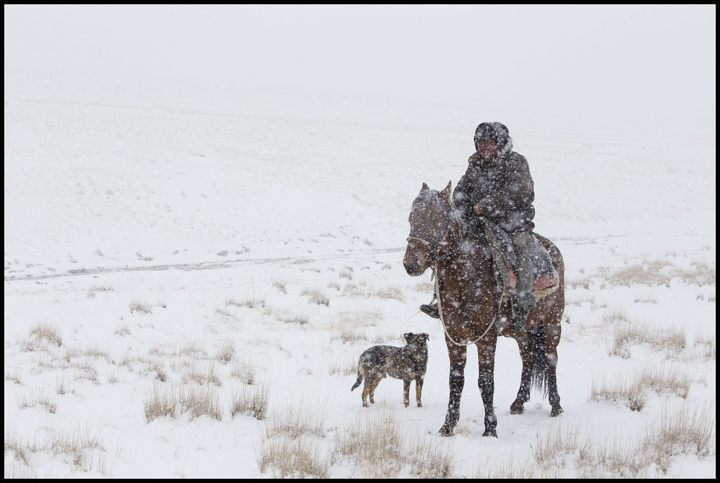 Bild des Tages Kirgistan Schnee Steppe