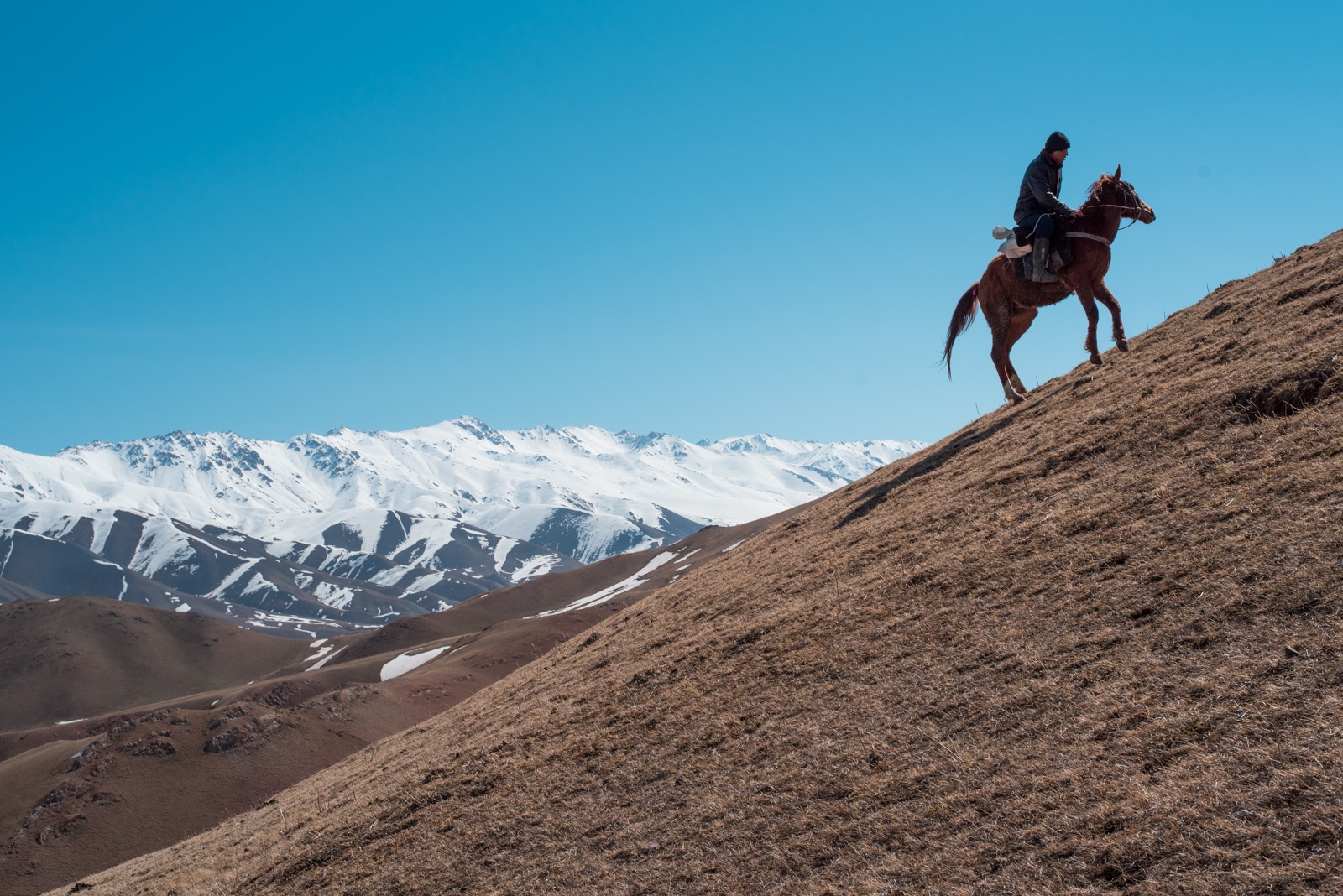 Kirgistan Antoine Béguier Berge Herden Steppe