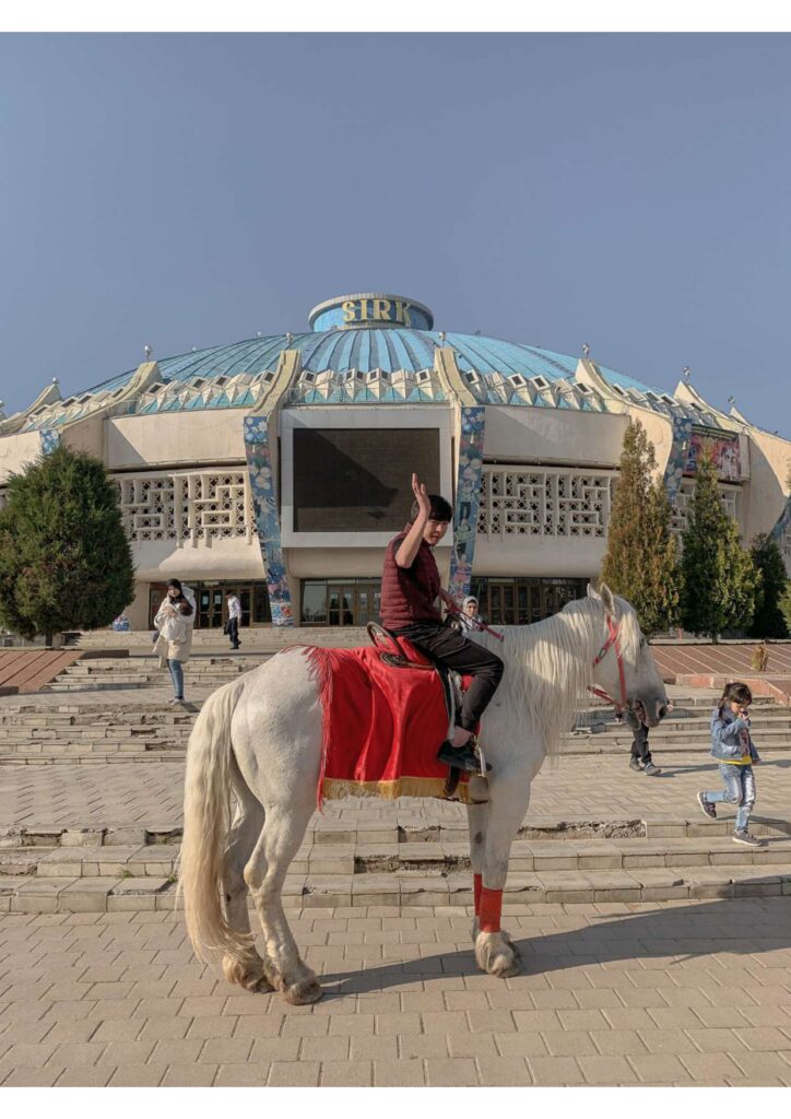 Pferd Zirkus rot Mann Treppe Himmel Kuppel