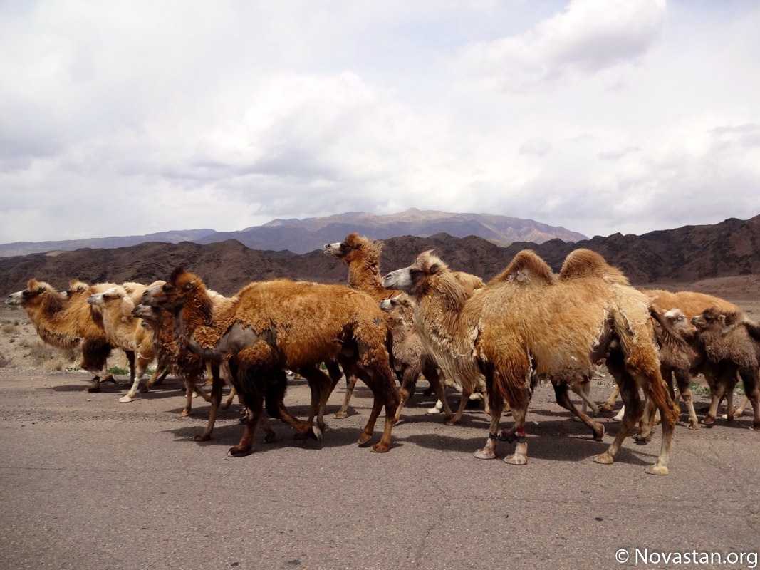 Sur les routes kirghizes