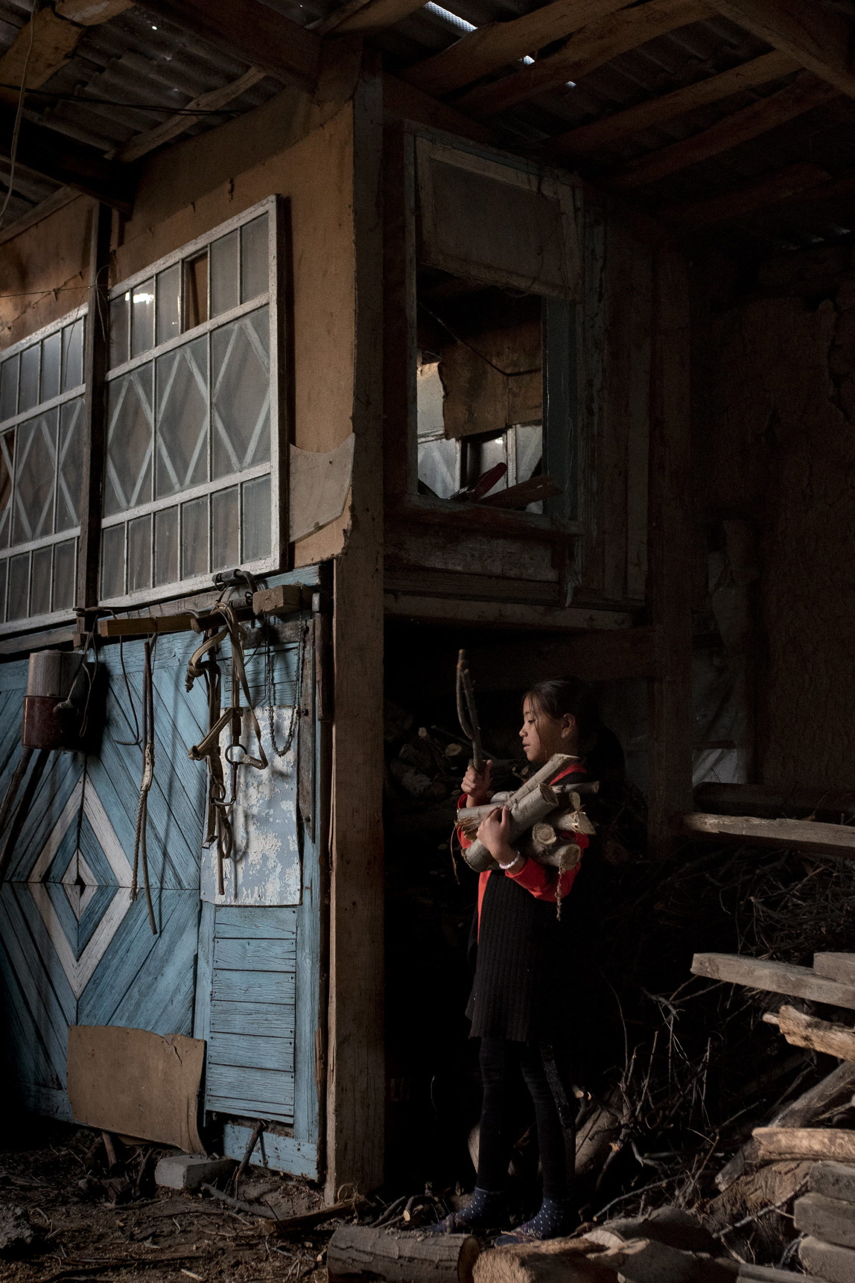 Collecting wood kyrgyzstan family