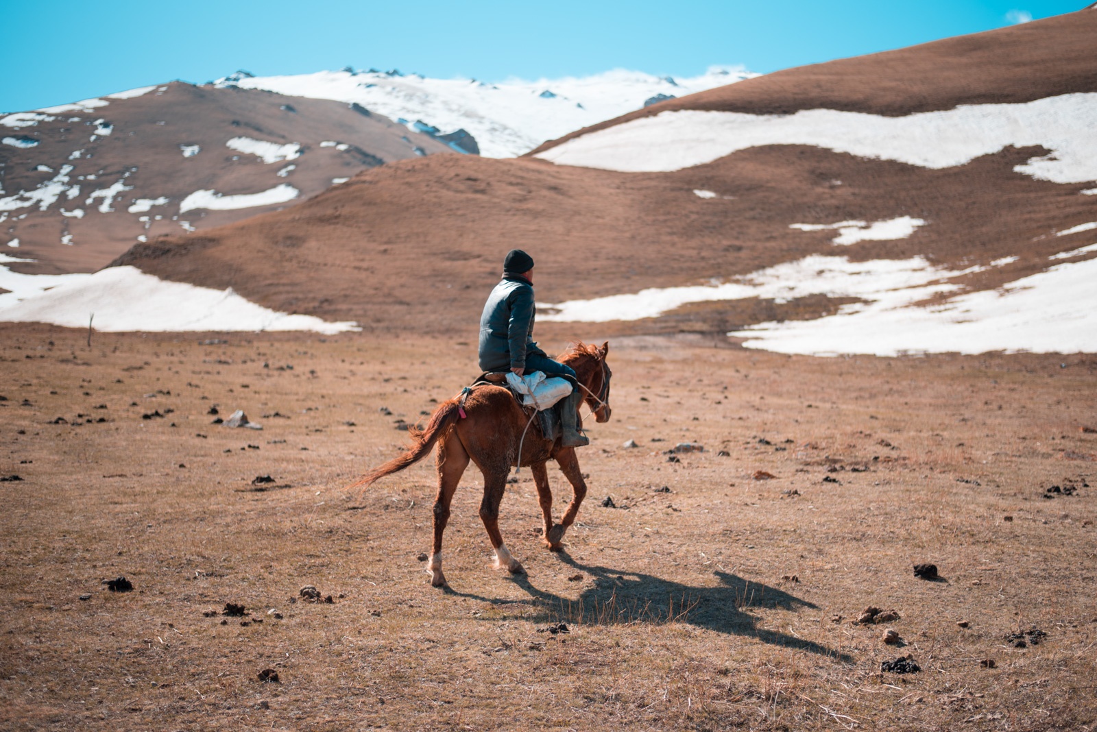 Mountain Horses Kyrgyzstan