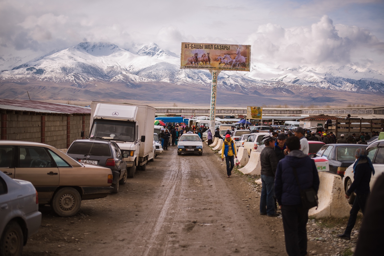 Antoine Béguier Kyrgyzstan At Bachy livestock market