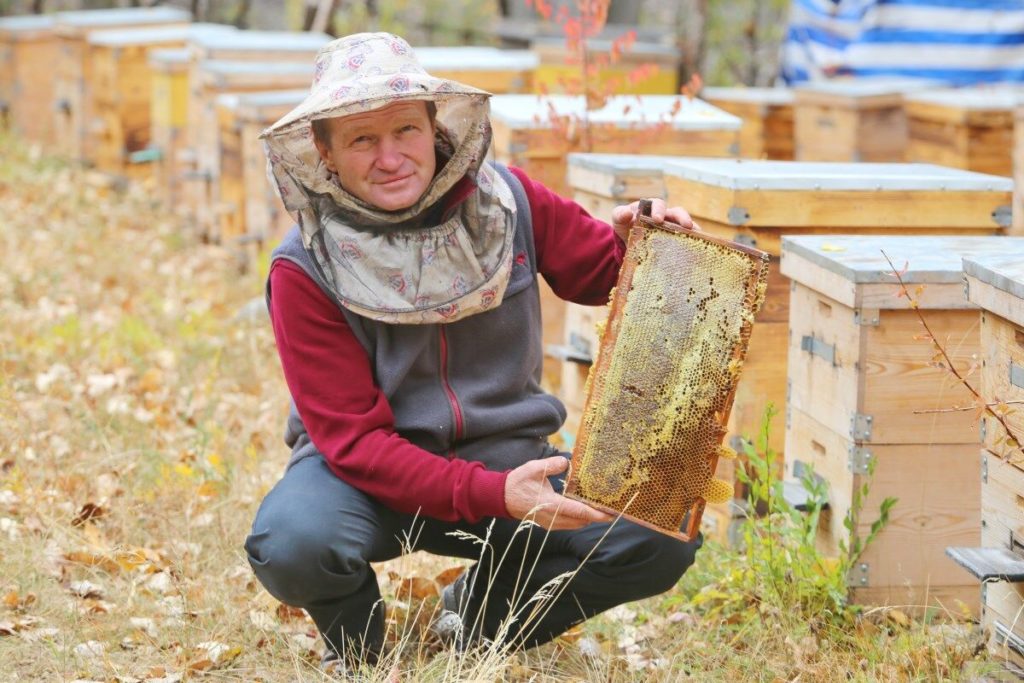 Oleg Nekrytov shows a section of a beehive