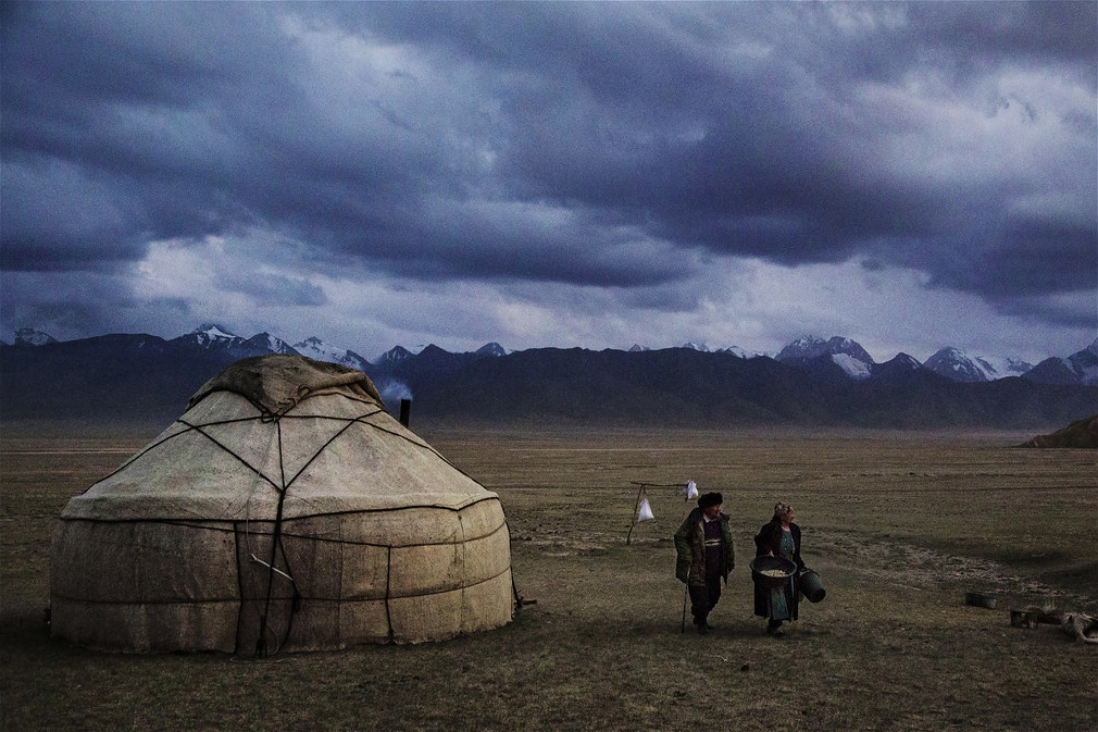 Kyrgyzstan cows milk