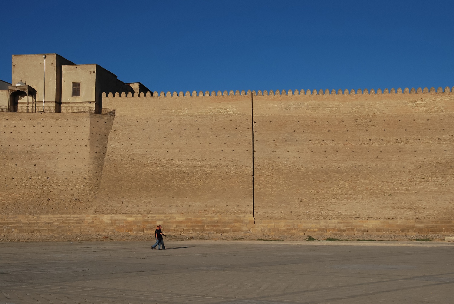 Historic fortress uzbekistan bukhara emirs ark