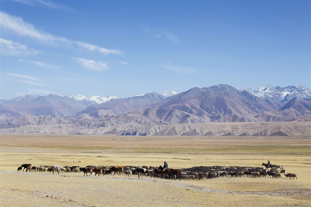 Kyrgyzstan Valley Herds Mountains