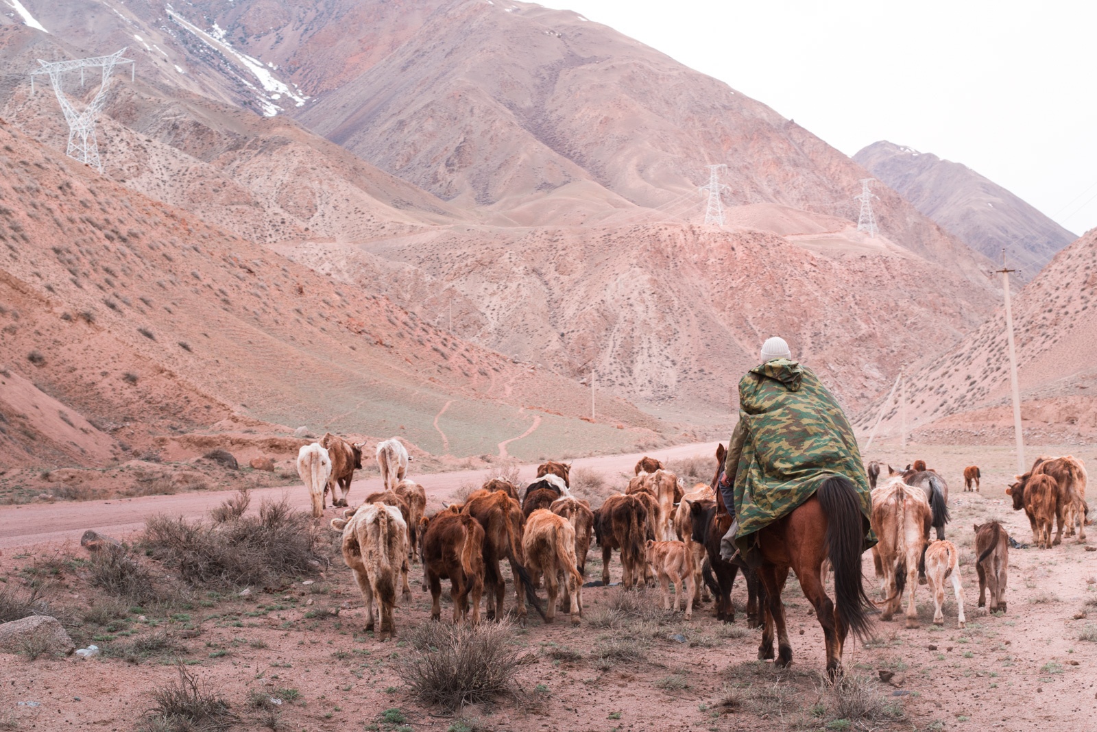 Typical valley shepherd coloured valley Kyzyl-Oi Kyrgyzstan