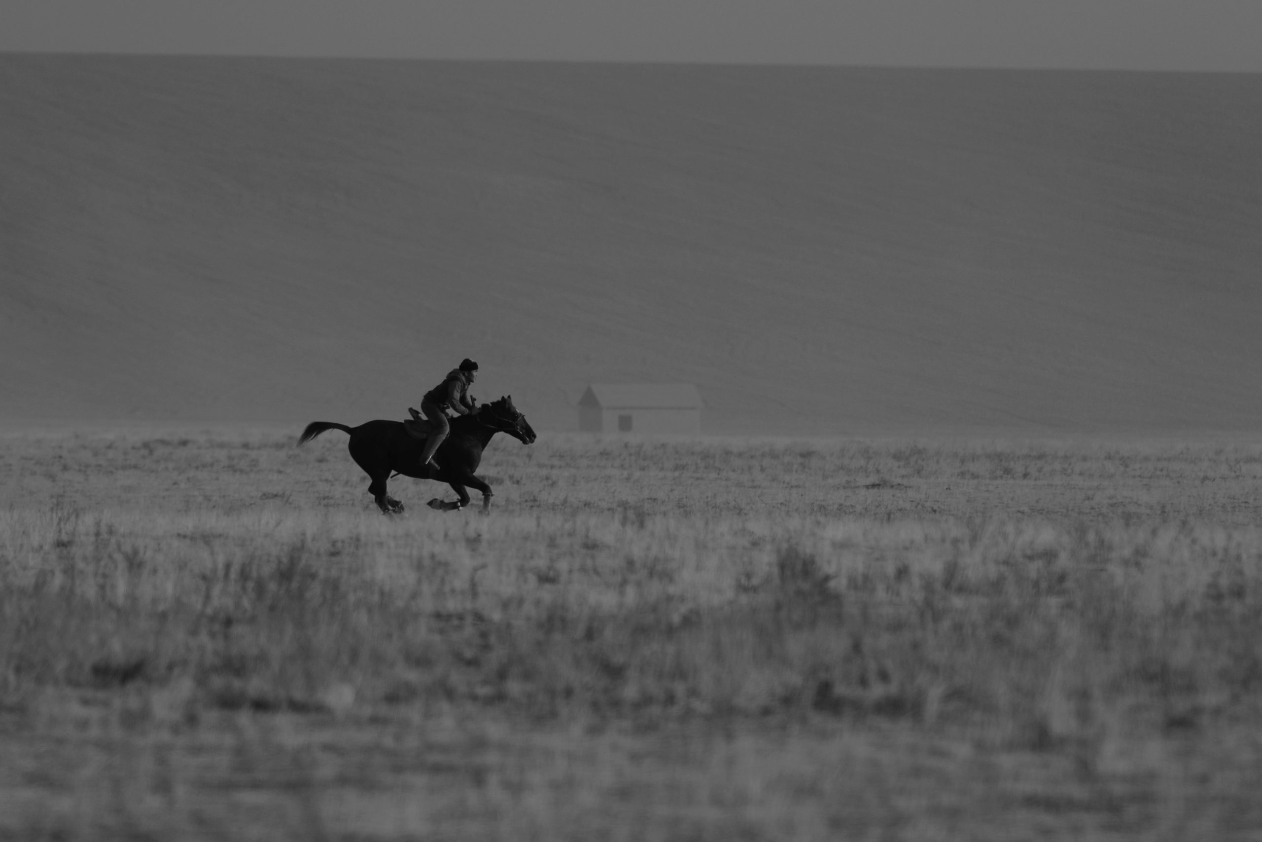 Kazakstan, Steppe, Horseman, Horse, Turkistan