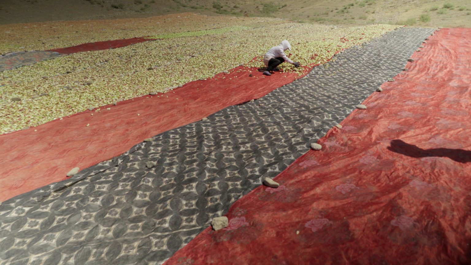 Tajikistan culture tradition Pamir music