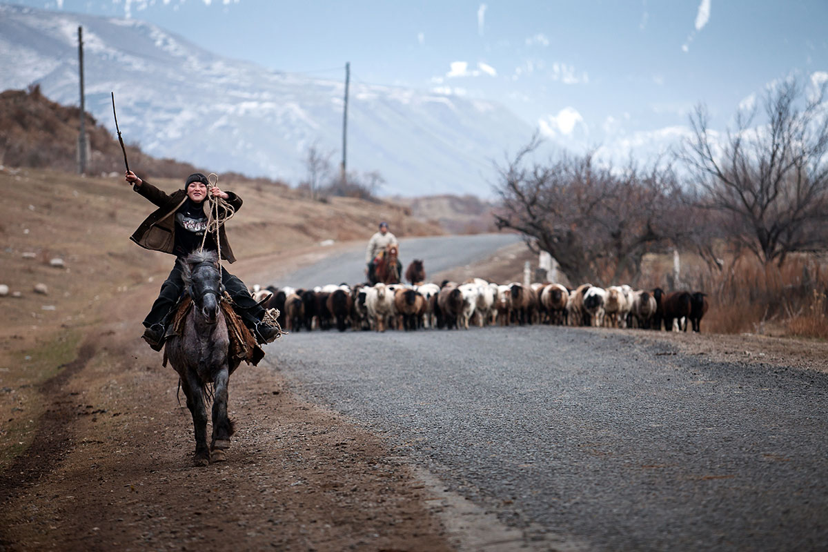 Young shepherd on horseback