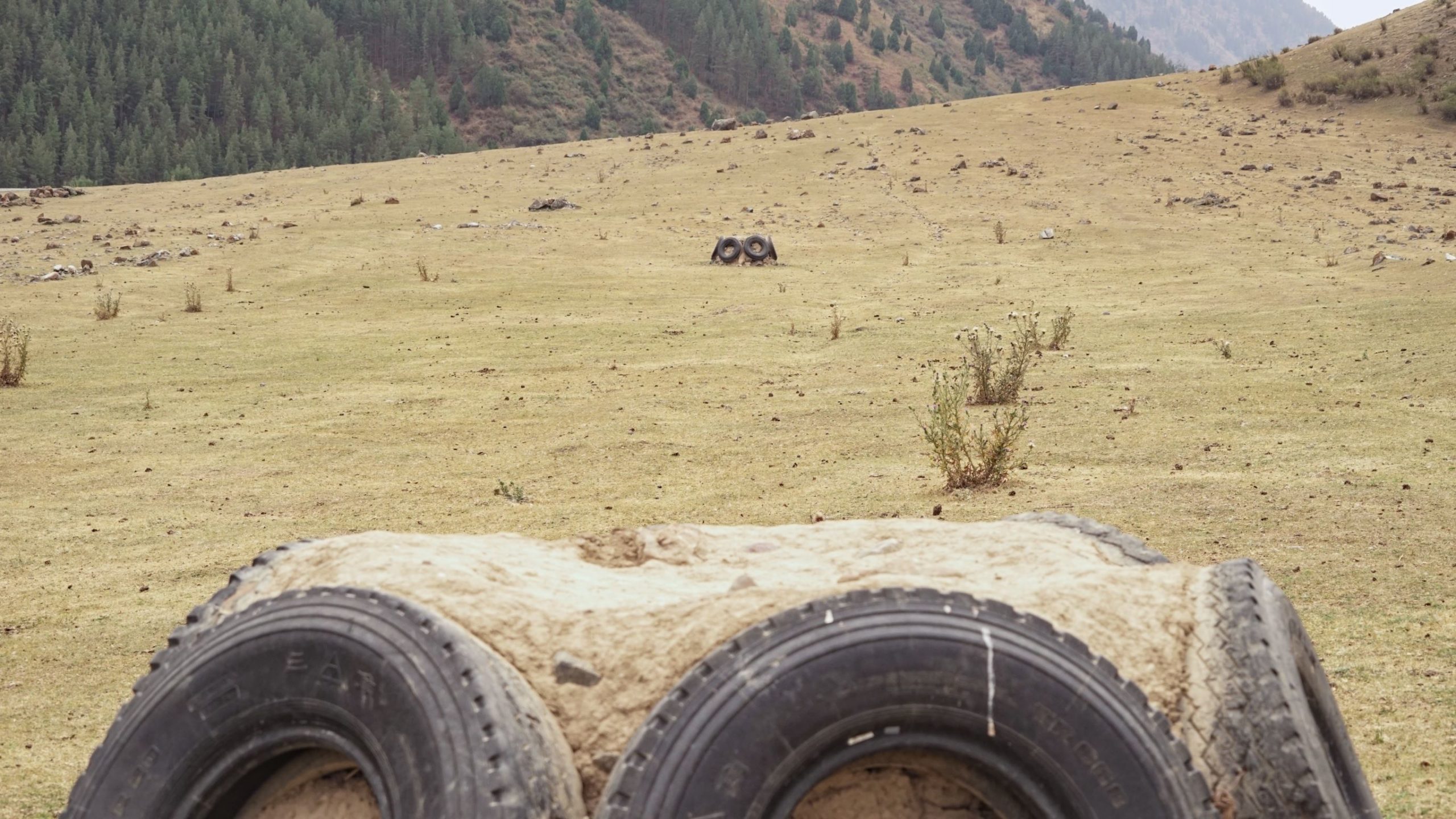 A field reserved for Kok-Boru in Kyrgyzstan