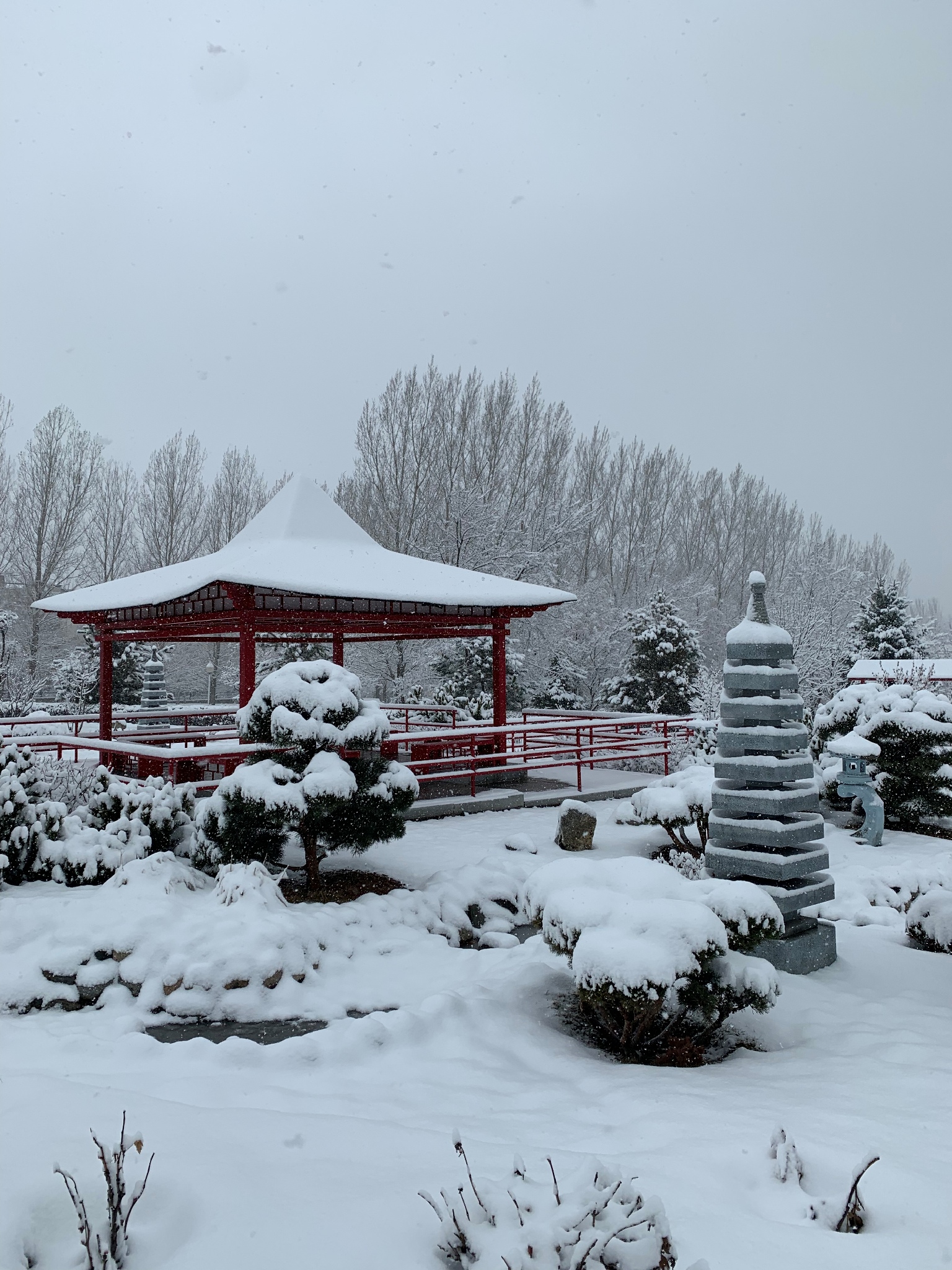 Connie Lee - Snow in the president's park