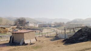 Farm at Bulungur, Uzbekistan.