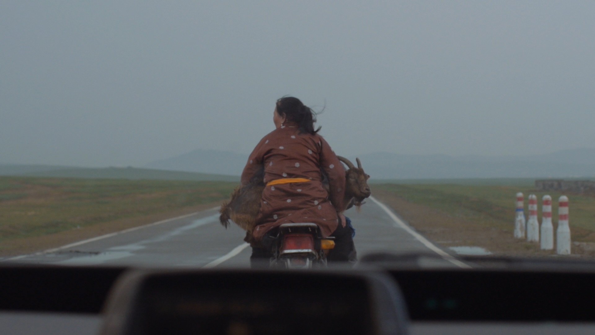 On the road in My Father Is Genghis Khan. Credits: Almira Saifullina.