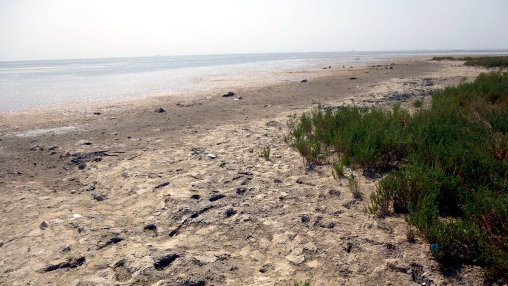 Exposed shoreline along the Caspian Sea at Awaza, Turkmenistan. Photo: Mathieu Lemoine.