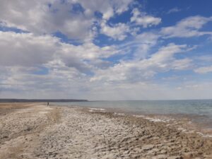 The remaining waters of the Aral Sea in Karakalpakstan. Photo: Mathieu Lemoine.