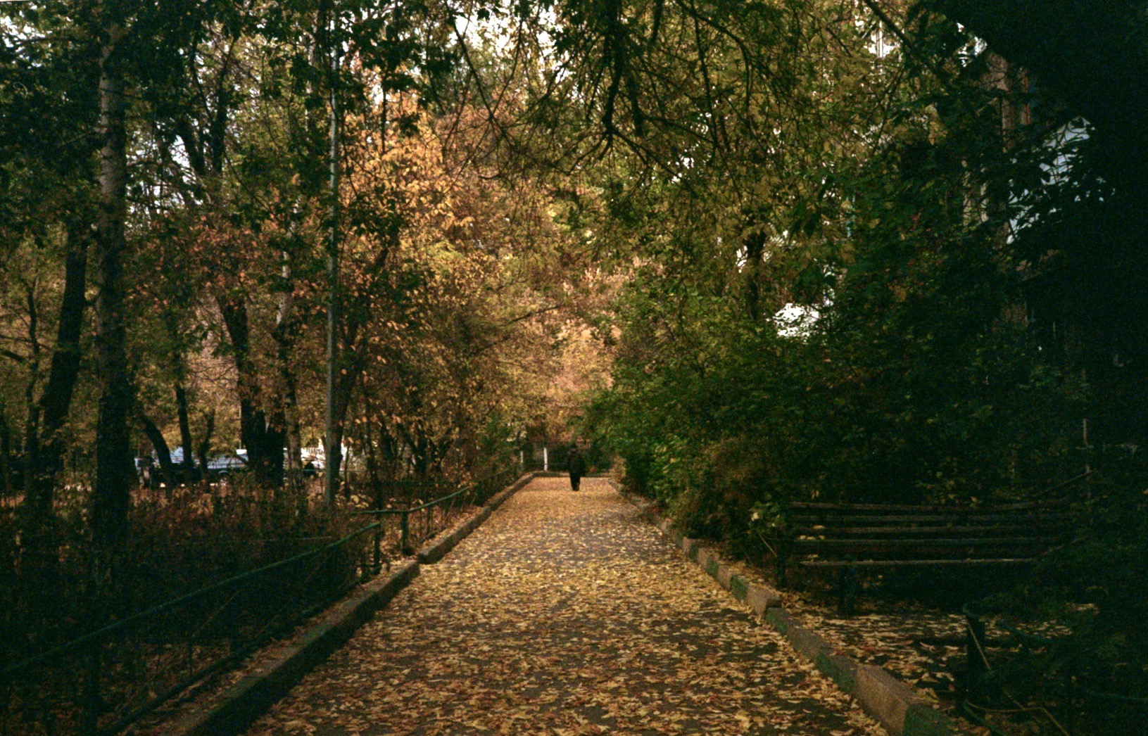 autumn alley
