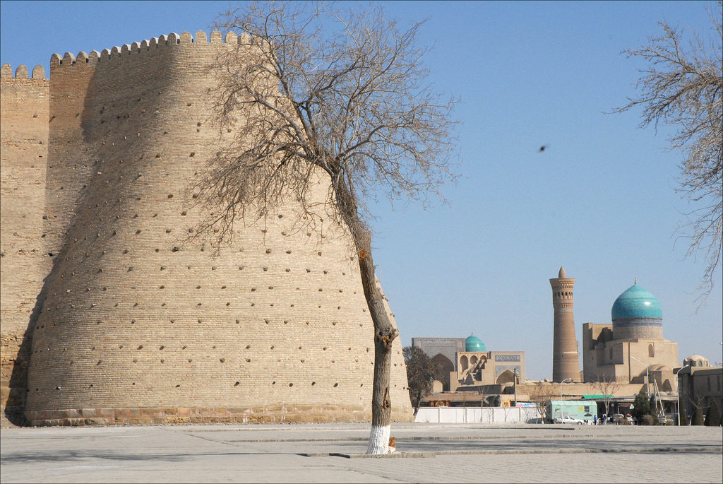 Boukhara Citadelle Ouzbékistan