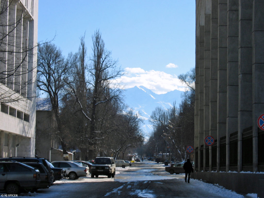 Bichkek Montagne Kirghizstan Environnement Rue Ville Capitale