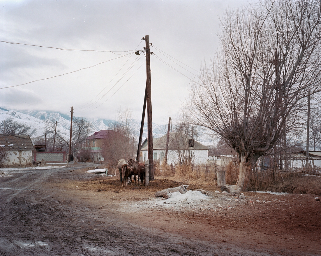 Chevaux Lac Karakol Balyktchy Issyk-Koul