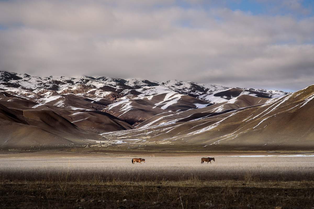 Avril dans les steppes au Kirghizstan