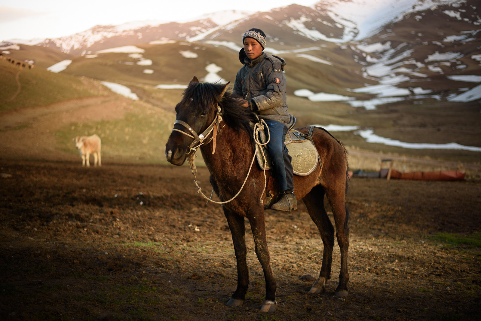 Kirghizstan cheval montagne cavalier