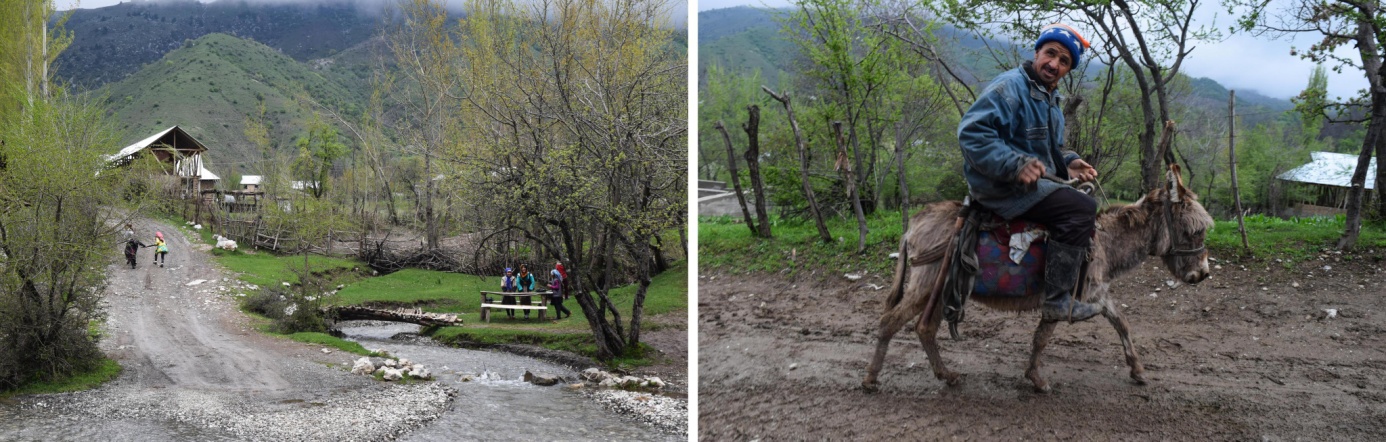 Arslanbob Nut Forest Kyrgyzstan