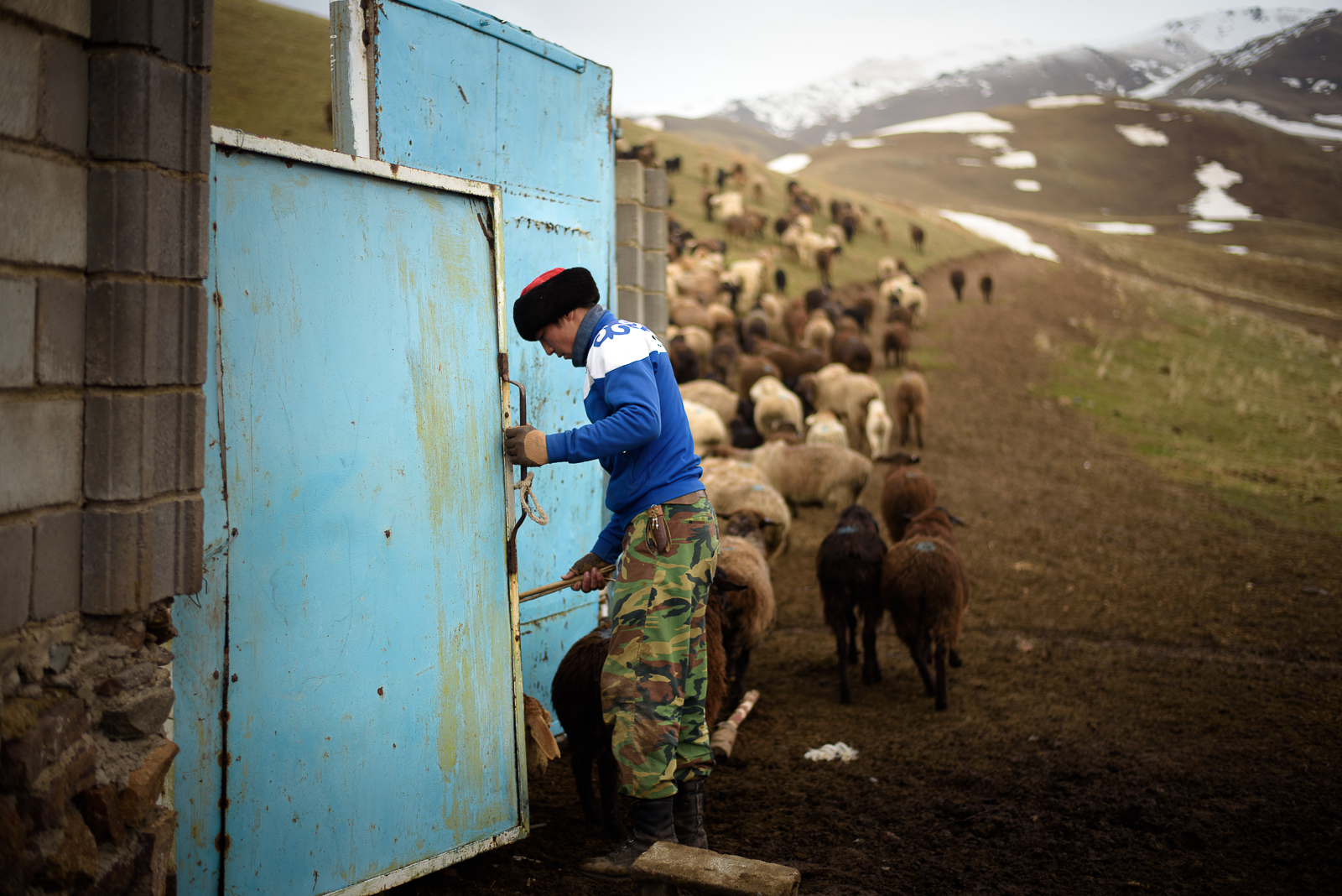 Dastan dans sa ferme de Kilemche au Kirghizstan